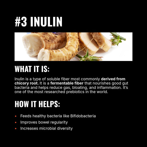 Mammoth Fiber Two Pack (60 Servings) + FREE Shipping - Get Mammoth Fiber