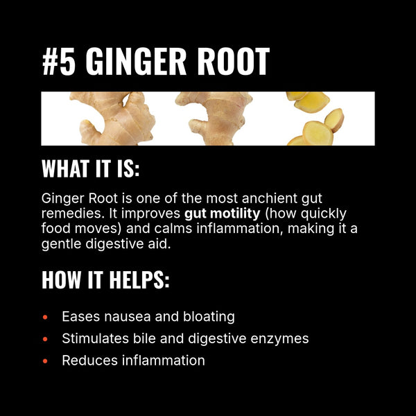 Mammoth Fiber Two Pack (60 Servings) + FREE Shipping - Get Mammoth Fiber