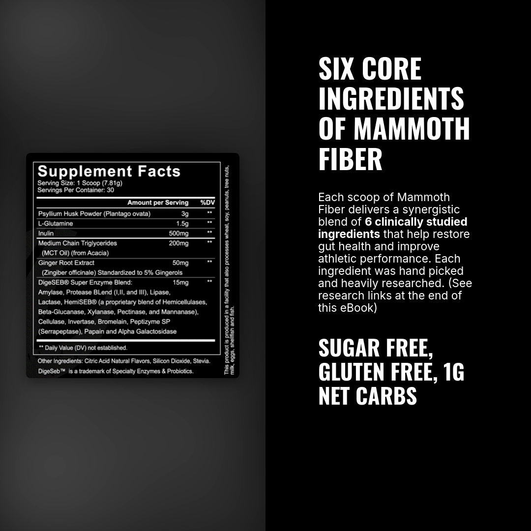 Mammoth Fiber Two Pack (60 Servings) + FREE Shipping - Get Mammoth Fiber