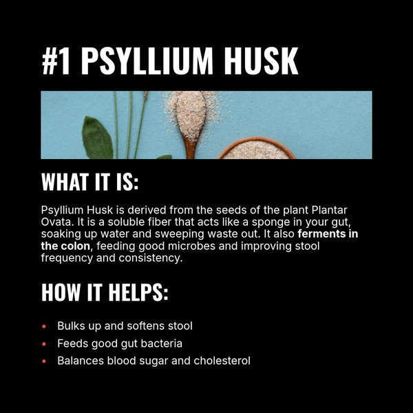 Mammoth Fiber Two Pack (60 Servings) + FREE Shipping - Get Mammoth Fiber