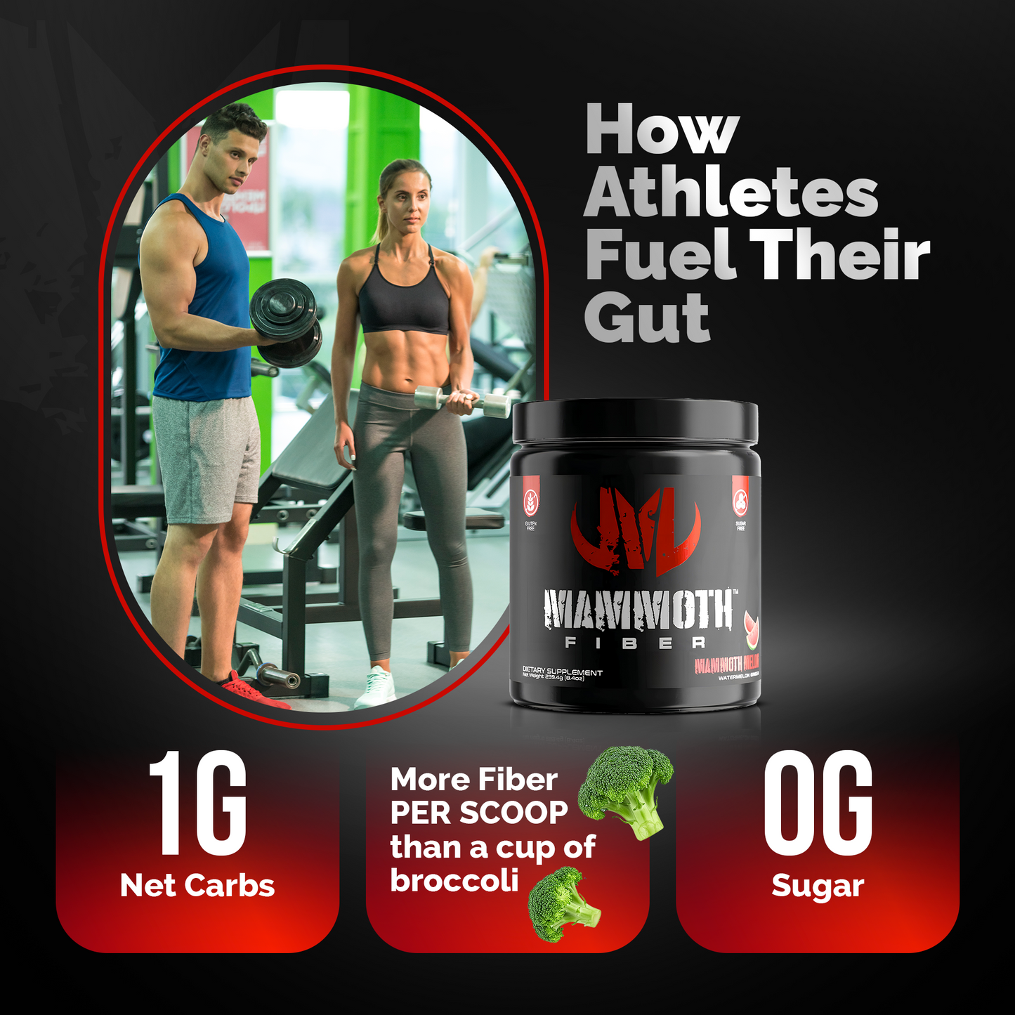 Mammoth Fiber Two Pack (60 Servings) - Get Mammoth Fiber