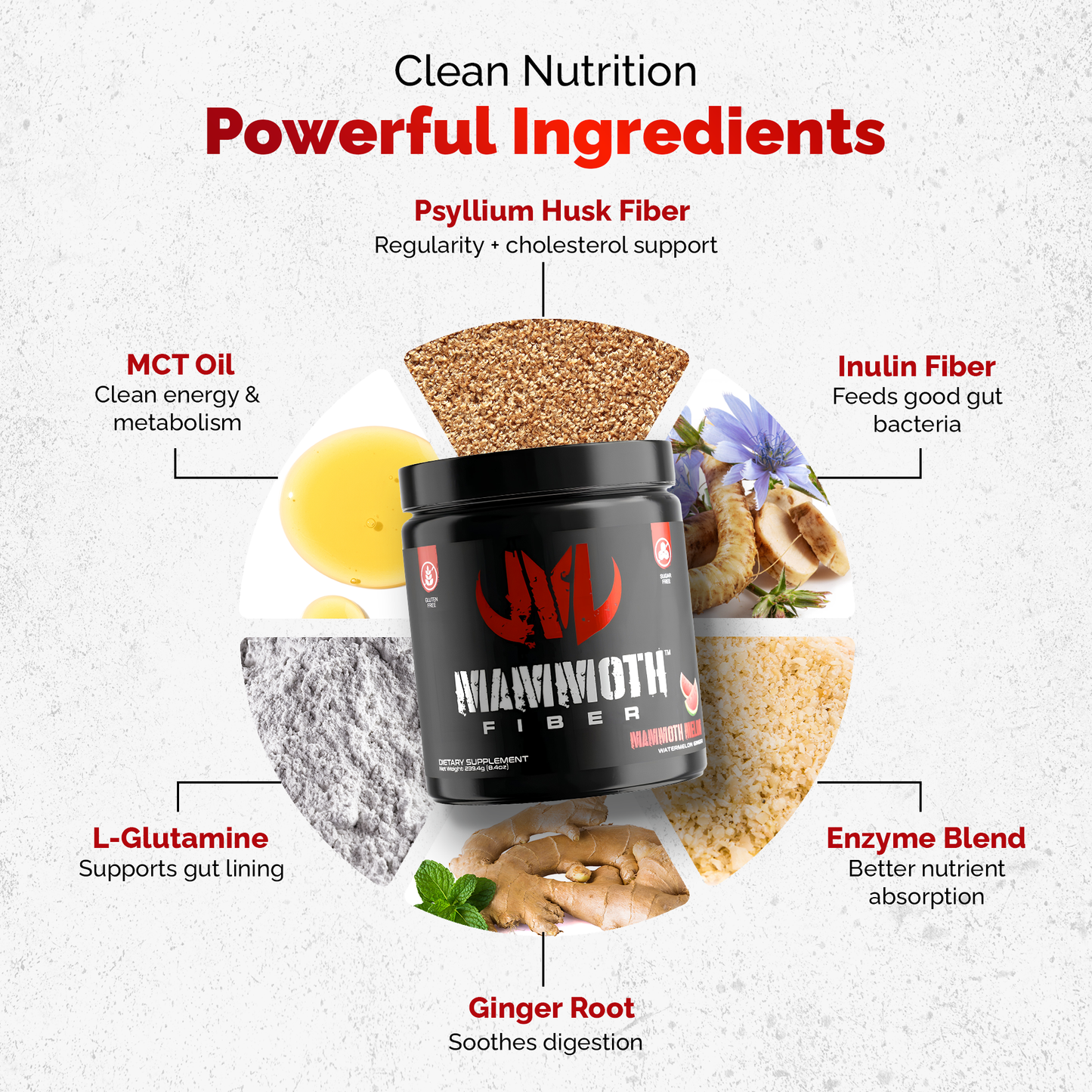 Mammoth Fiber Two Pack (60 Servings) - Get Mammoth Fiber