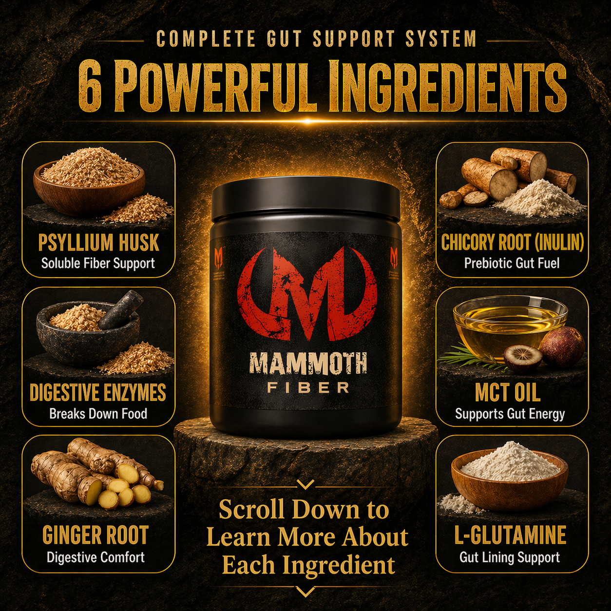 Mammoth Fiber - Get Mammoth Fiber
